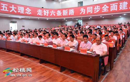 松桃庆祝建党96周年表彰大会召开